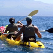 kayak tours in maui